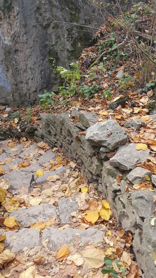 Adam Inn Καταρράκτες του Νιαγάρα Εξωτερικό φωτογραφία